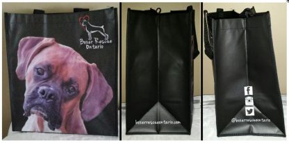 All Purpose Boxer Bag