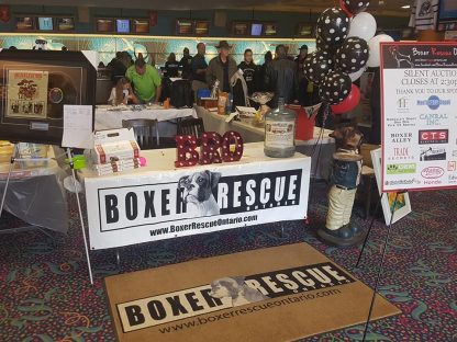 Bowling For Boxers Sponsorships - Image 3