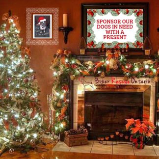Secret Santa Gifts