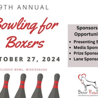 Bowling For Boxers Sponsorships