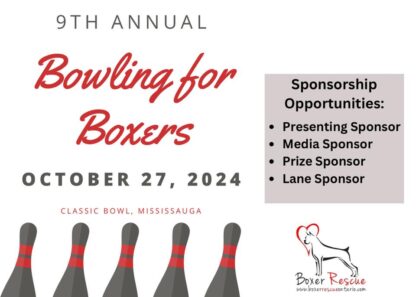 Bowling For Boxers Sponsorships