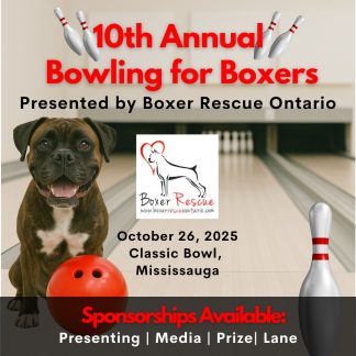 Bowling For Boxers Sponsorships